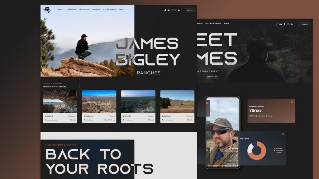 Professional Profile